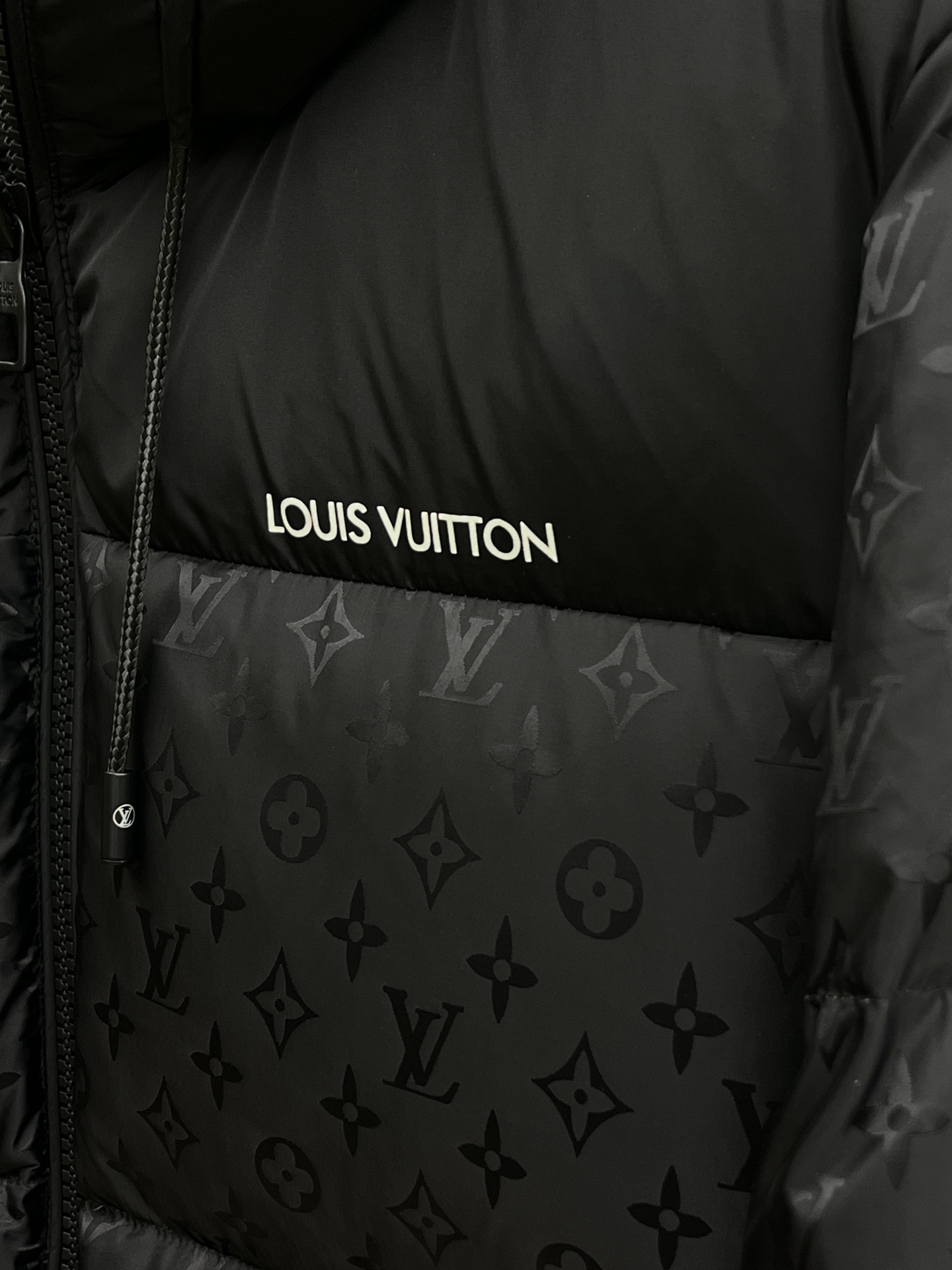 Louis Vuitton Down Jackets